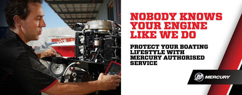 Mercury Servicing
